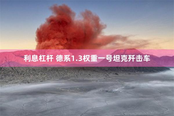 利息杠杆 德系1.3权重一号坦克歼击车