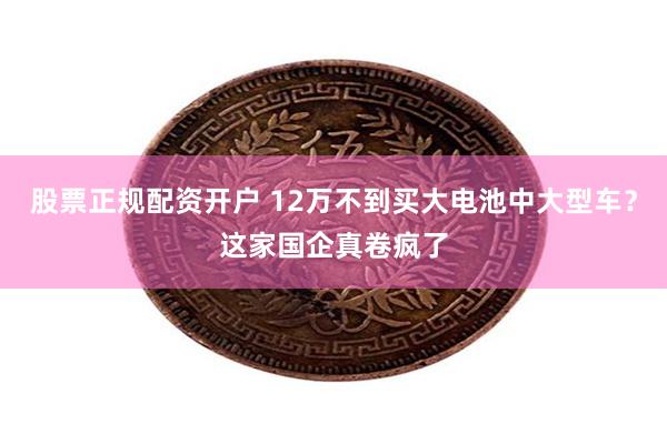 股票正规配资开户 12万不到买大电池中大型车？这家国企真卷疯了