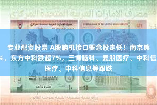 专业配资股票 A股脑机接口概念股走低！南京熊猫跌近8%，东方中科跌超7%，三博脑科、爱朋医疗、中科信息等跟跌