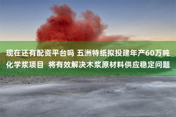 现在还有配资平台吗 五洲特纸拟投建年产60万吨化学浆项目  将有效解决木浆原材料供应稳定问题