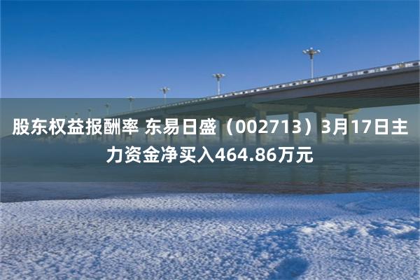 股东权益报酬率 东易日盛（002713）3月17日主力资金净买入464.86万元