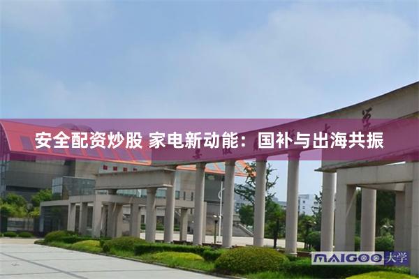 安全配资炒股 家电新动能：国补与出海共振