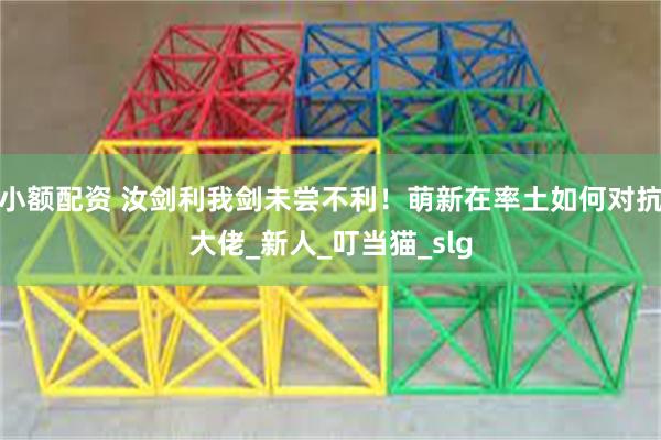 小额配资 汝剑利我剑未尝不利！萌新在率土如何对抗大佬_新人_叮当猫_slg