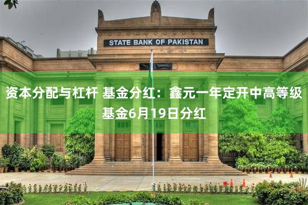 资本分配与杠杆 基金分红：鑫元一年定开中高等级基金6月19日分红