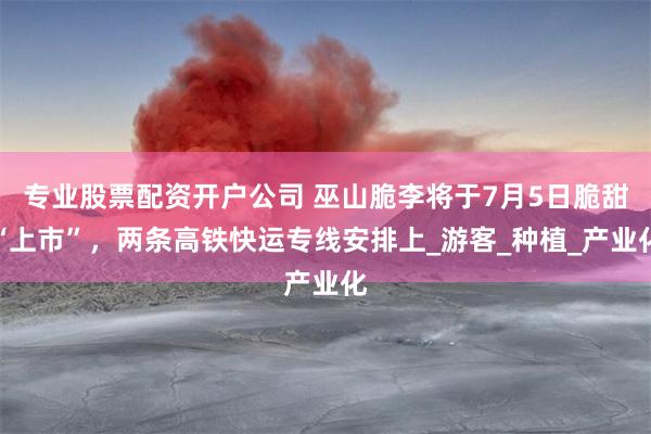 专业股票配资开户公司 巫山脆李将于7月5日脆甜“上市”，两条高铁快运专线安排上_游客_种植_产业化