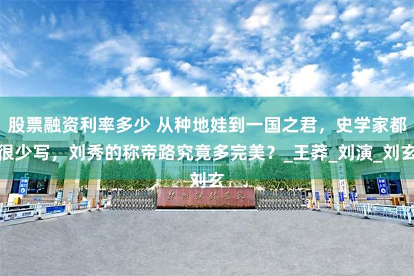 股票融资利率多少 从种地娃到一国之君，史学家都很少写，刘秀的称帝路究竟多完美？_王莽_刘演_刘玄