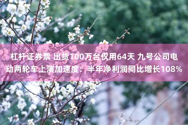 杠杆证券票 出货100万台仅用64天 九号公司电动两轮车上演加速度：半年净利润同比增长108%