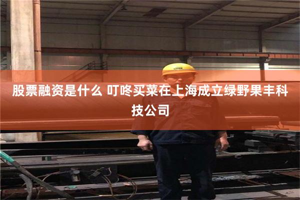 股票融资是什么 叮咚买菜在上海成立绿野果丰科技公司